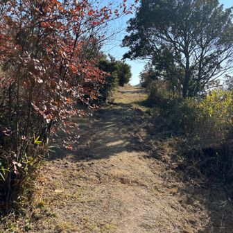 手頃なアップダウンが楽しい❣️