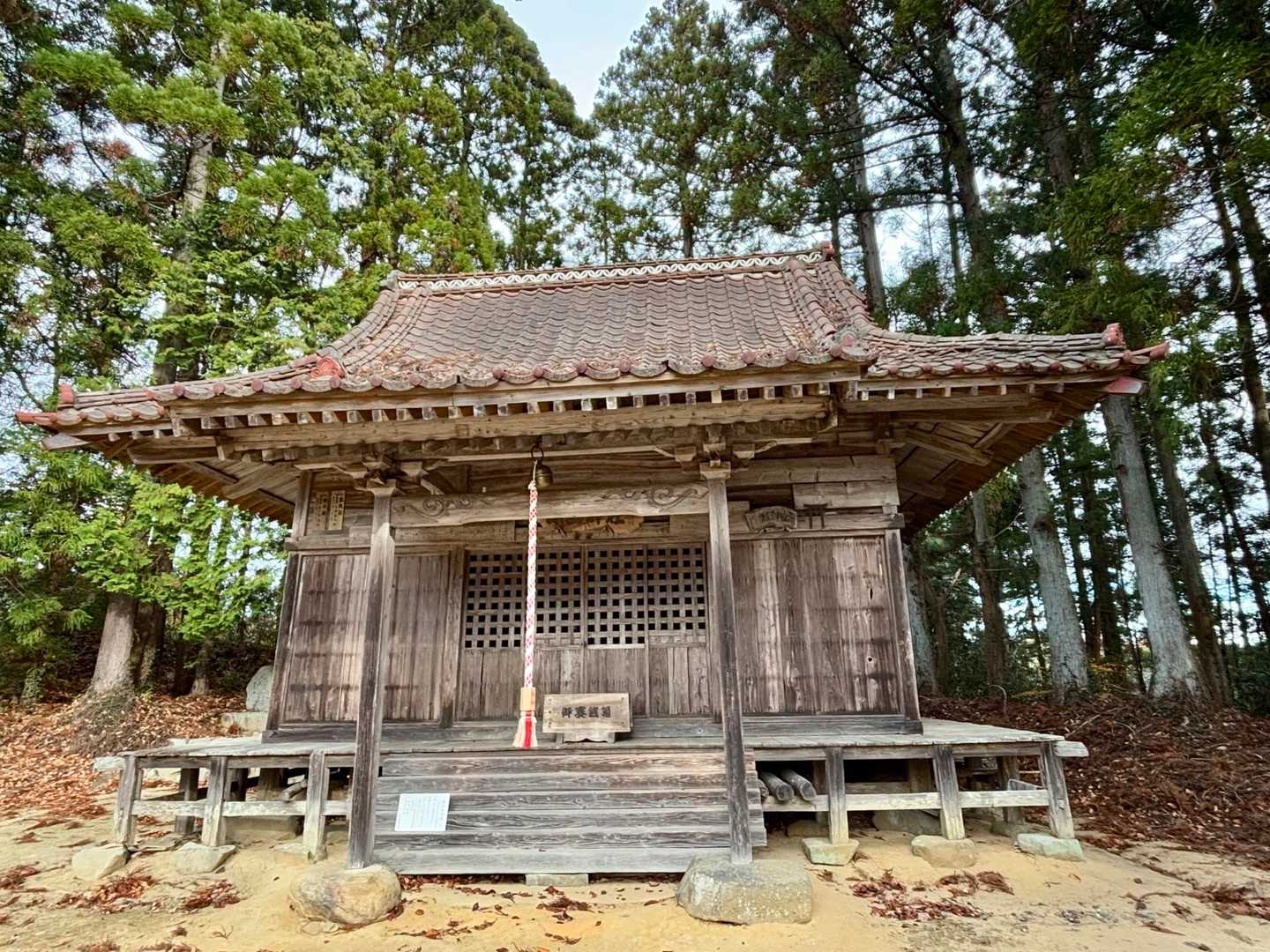 お邪魔します🙏🏽