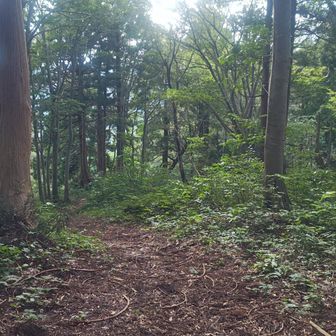 この先、五頭本峰まではまた今度

涼しくなったら是非！