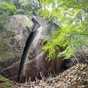 モモタロサン。いつ見ても壮観ですね。