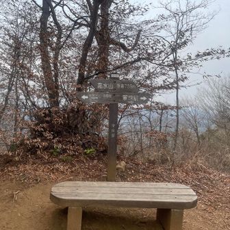 下界に戻るよ〜◀️