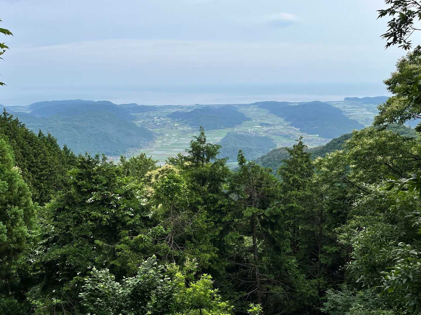 小別所登山口-鷲峰山 往復コースの写真