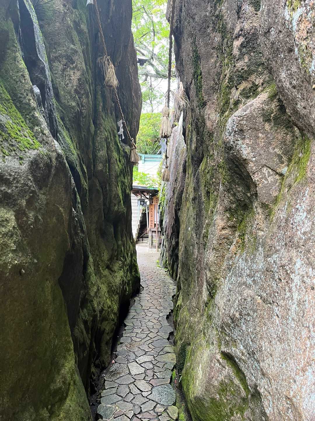 市辺駅-船岡山登山口-船岡山-船岡山登山口-十三仏登山口- 縦走コースの写真