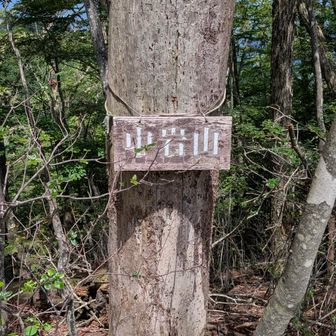 なかいわやま 1107m