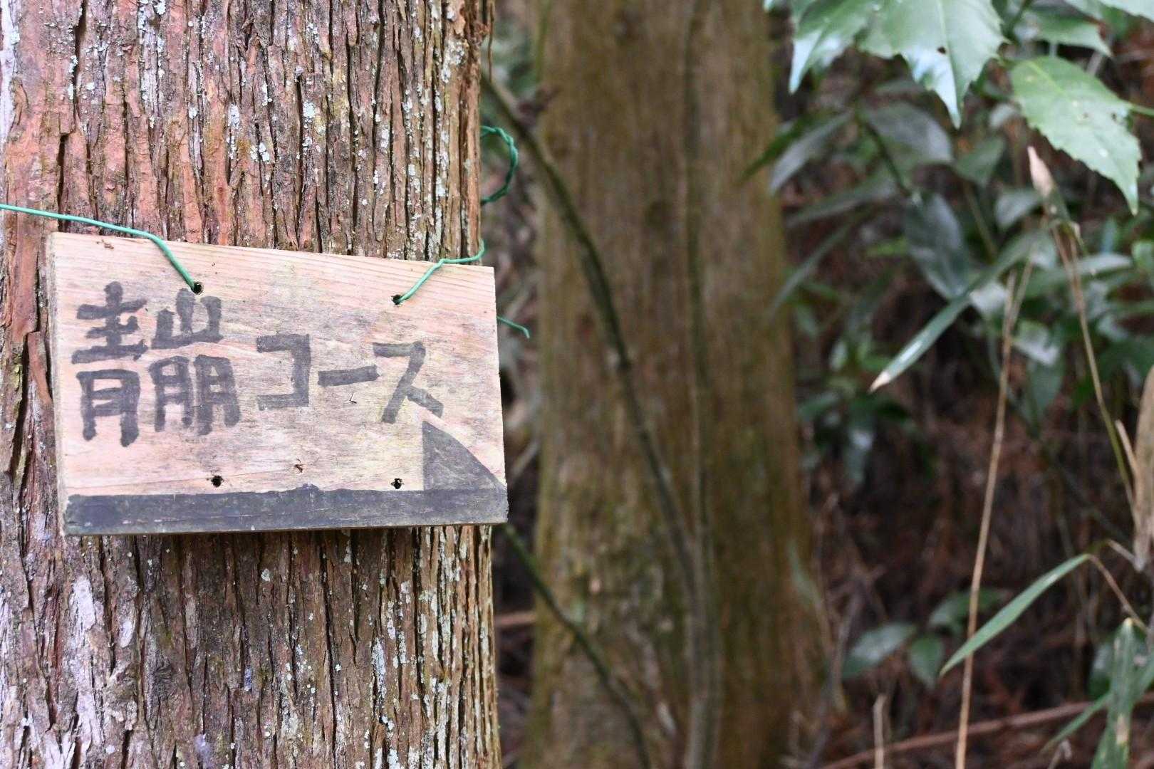 青崩コース