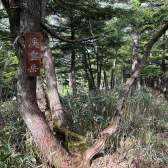 渓雲岳