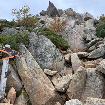 ここから直登コースへ