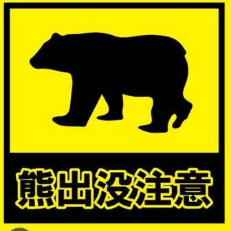 クマに会いたくないよ