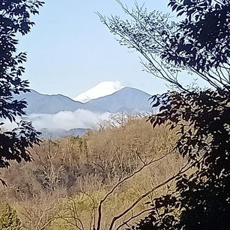 道了堂跡から富士山
空気スッキリ