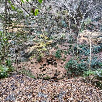 滝は水が無く、沢道を歩いて、滝上から下を覗く🫣

滝下に下る場合は、向かいの階段を上がります☝️
スルーの場合は、沢沿いに上流方向に進みます👉️