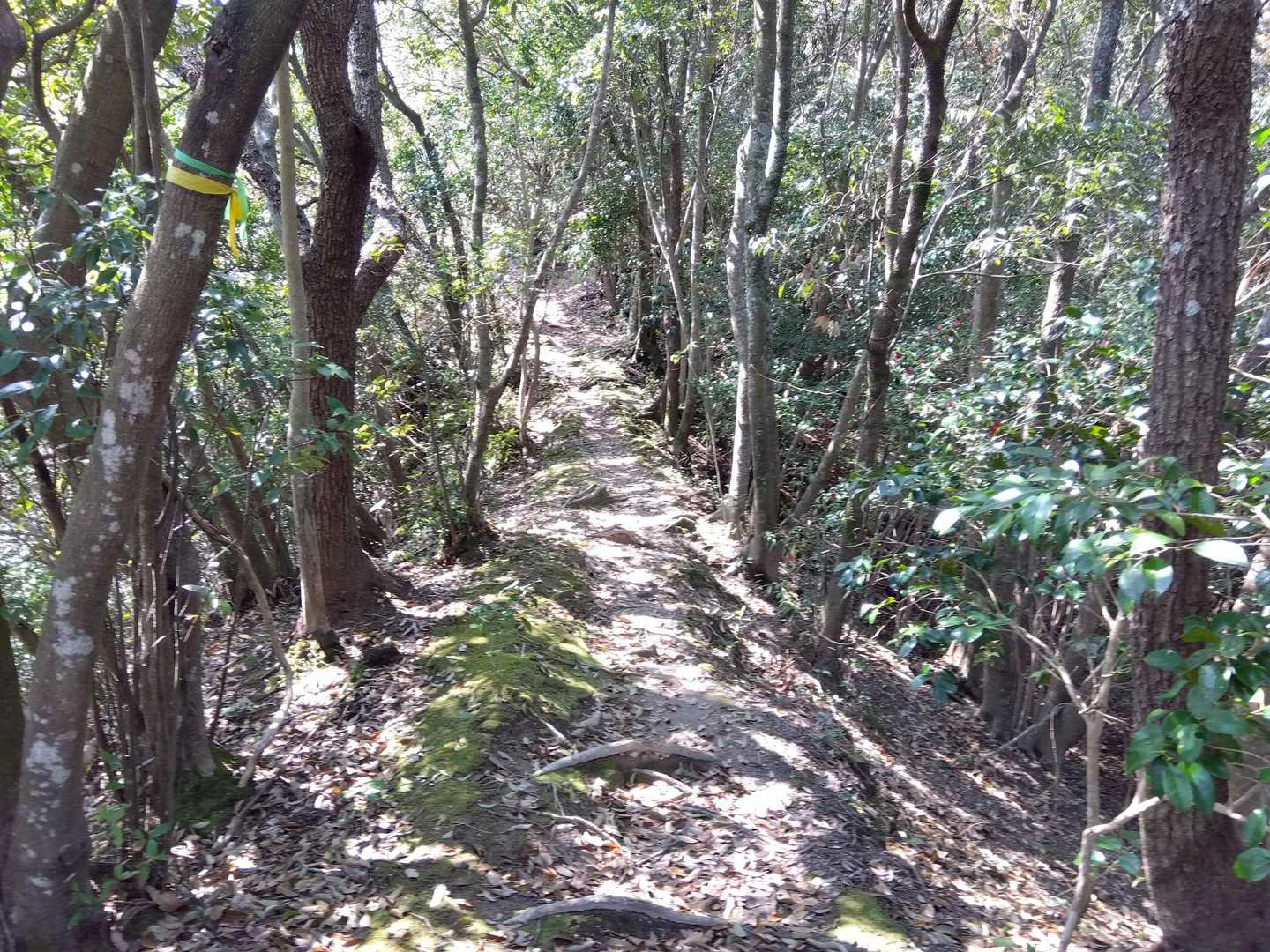 痩せ尾根を進みます。