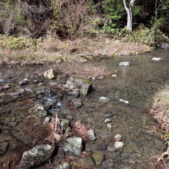 この川渡ります。
