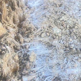 霜柱
もう季節は冬