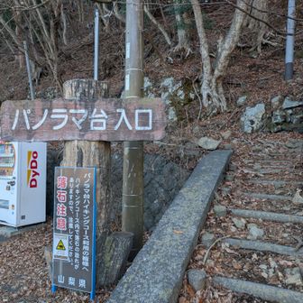 降りて来ましたー