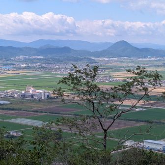 近江富士（三上山）
いつ見ても素敵な山容⛰️