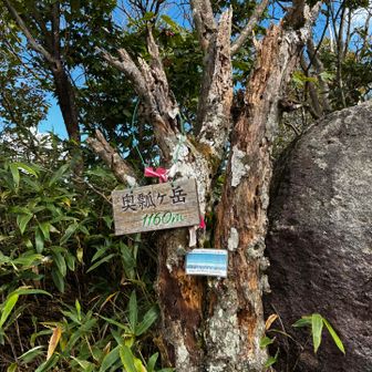 次のピーク奥瓢ヶ岳に寄る