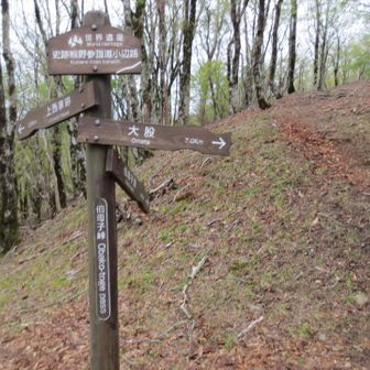 山頂に向かいます