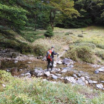 ナゴヤ谷上流部が最後の徒渉