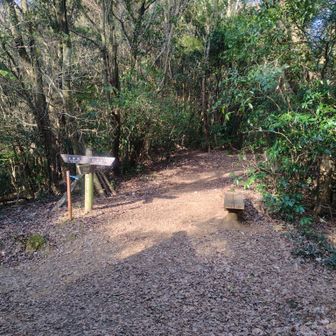 今度は鷹取山の方へ