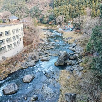 多摩川
昨年は沢井駅まで歩きました