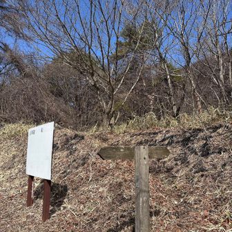 何か舗装された道に出たぞ