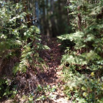 もう少しだけ続くんじゃ