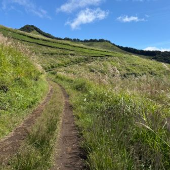 高座山はカヤト(茅戸)生い茂る山⛰️

※カヤトとはススキ🌾などの「カヤ」が広範囲に生い茂る草原や場所のこと。

連日の長雨で☔️登山道にススキが倒れており、狭くなっている場所があります⚠️