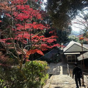 いいですね🍁😊