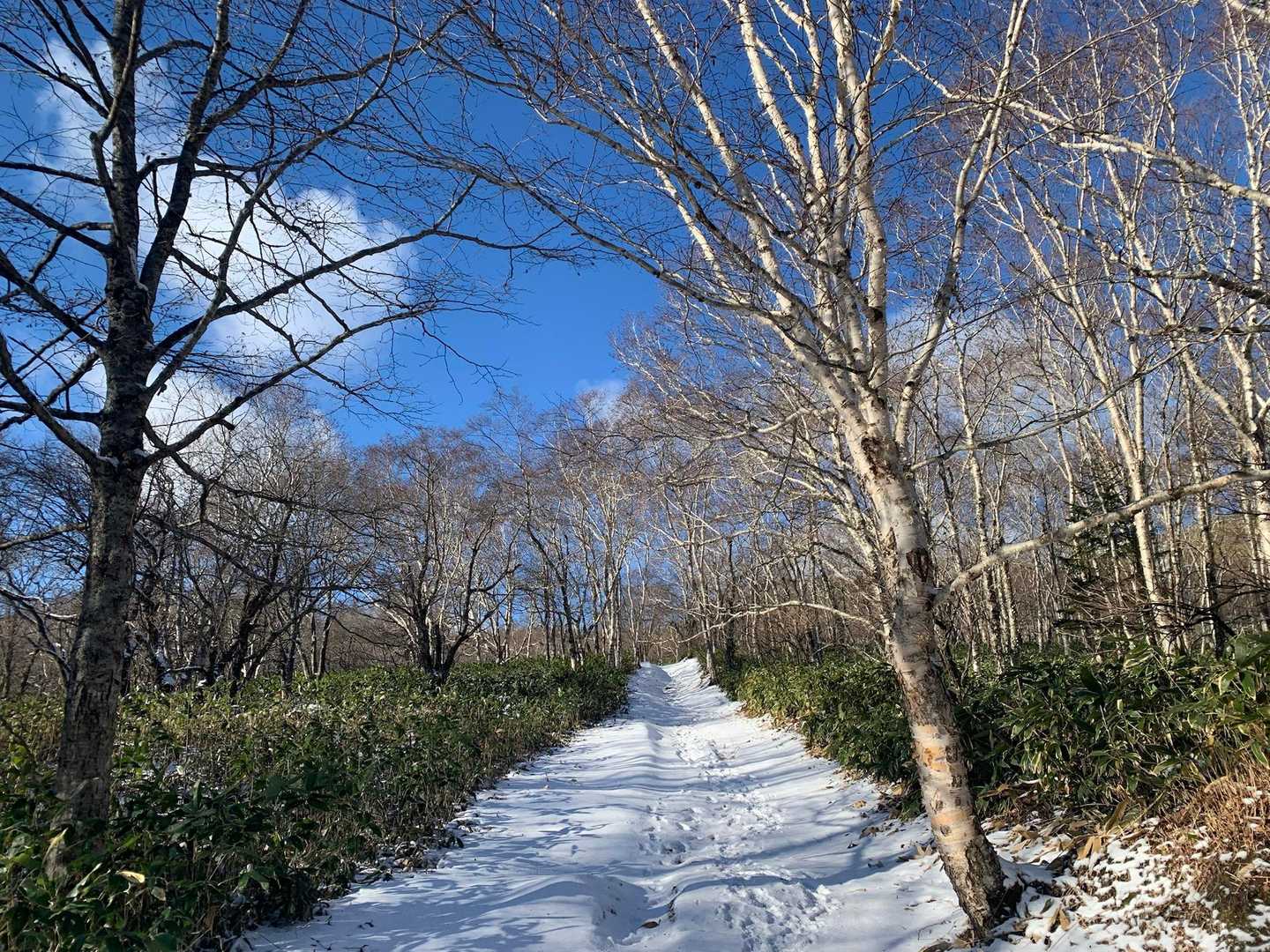 相変わらずこの辺は
清々しい
