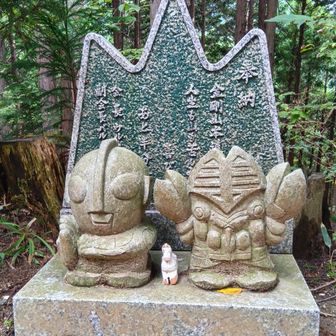 ドンドン降りて5合目のウルトラマン