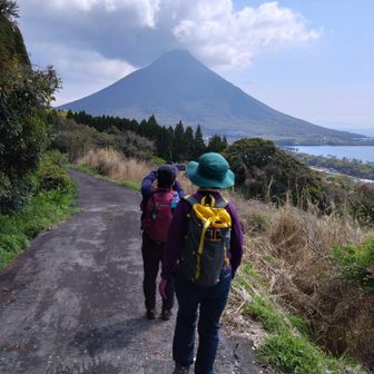 しばらくロード歩き💦暑いです
気温24度、湿度98％でSTART
この時点、気温27度🥵
夏で〜す💦
南薩低山は今季最後かなぁ〜〜〜
