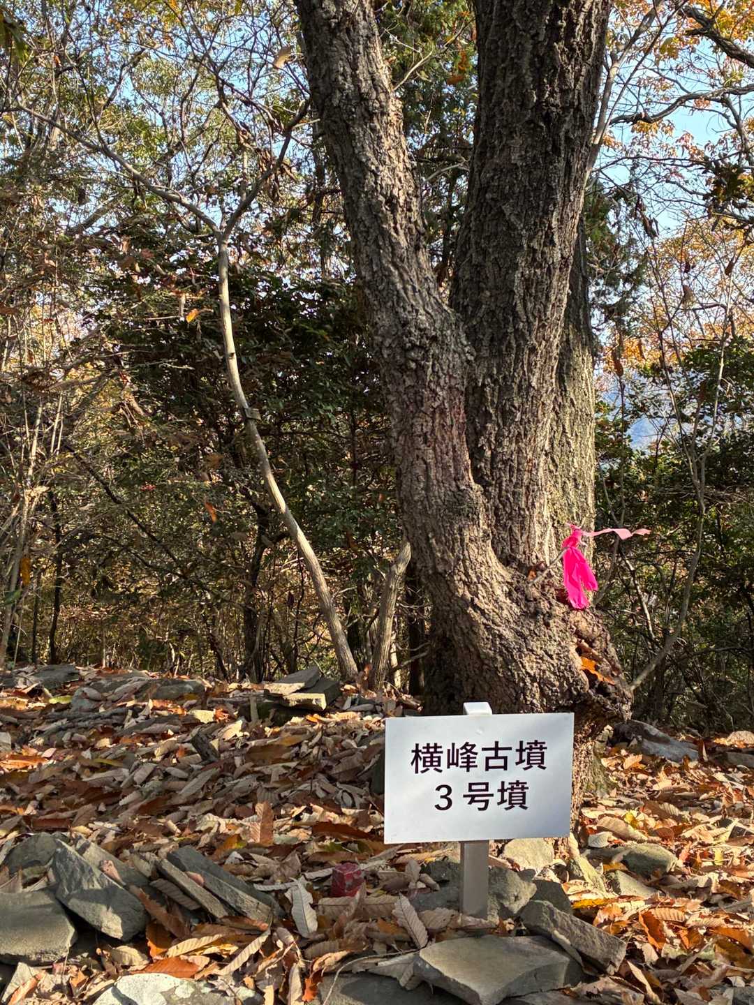 竜王山遊歩道登山口-綾歌竜王山-横山 往復コースの写真