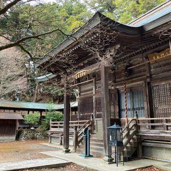 帰路は、本山寺経由のメインルートで下山しました。

たぶん今年最後の山遊びが終了です。

思えば、今年は、ホンマに体調不良に悩まされました。

寄る年波というやつです。
寂しいけど、仕方がありません。

ほな、また来年。

有難うございました。