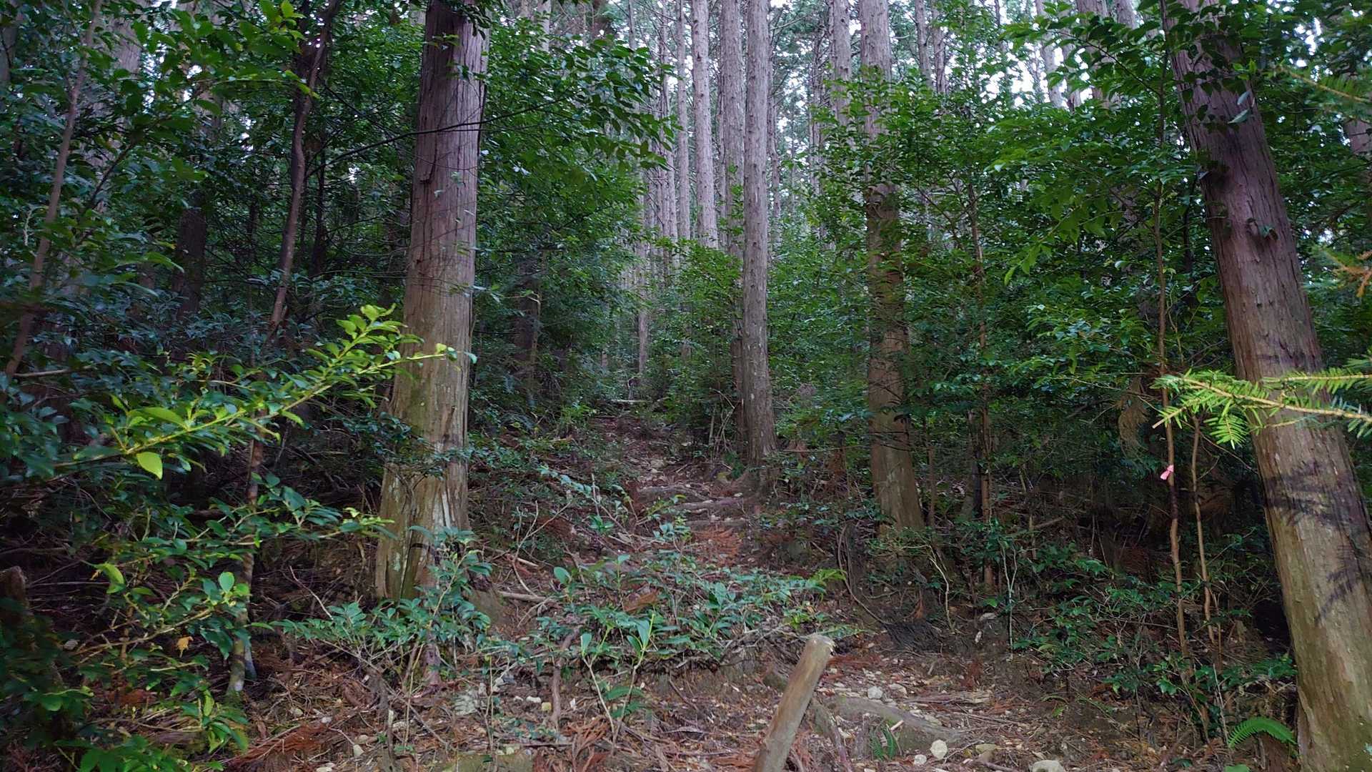 上り