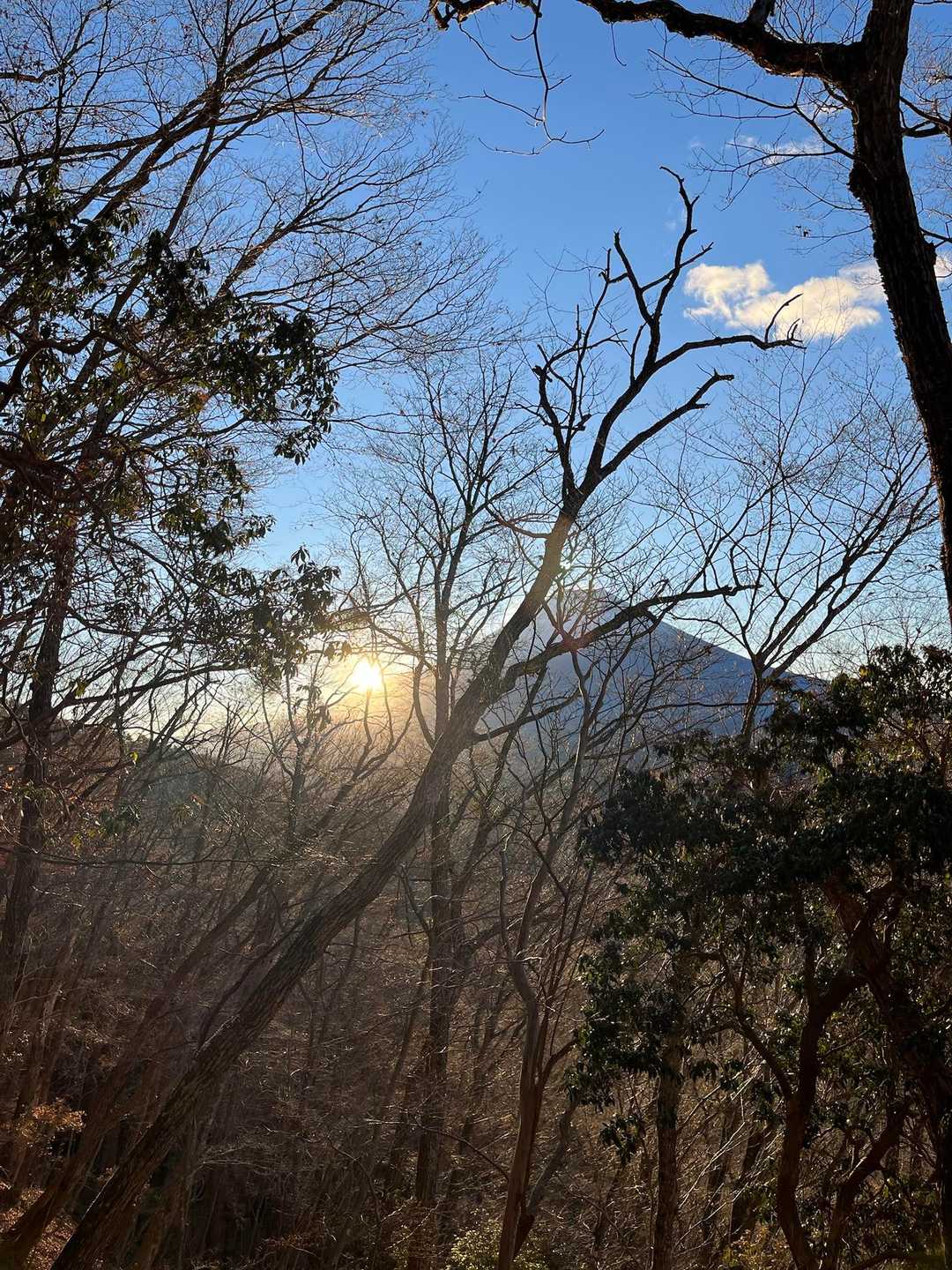 烏帽子岳 往復コースの写真