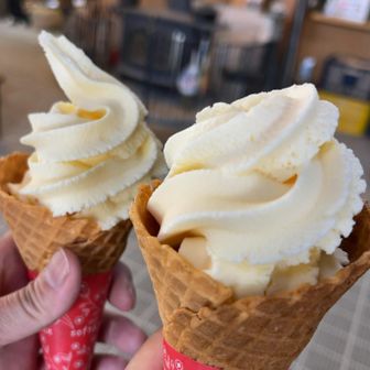ソフトクリーム美味しい🍦