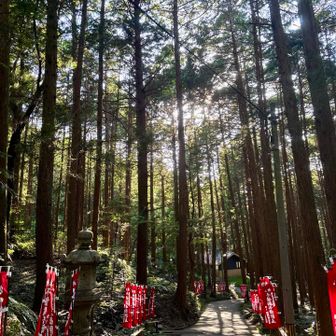 キャンプ楽しんでる方も、川遊び楽しんでる方もいました