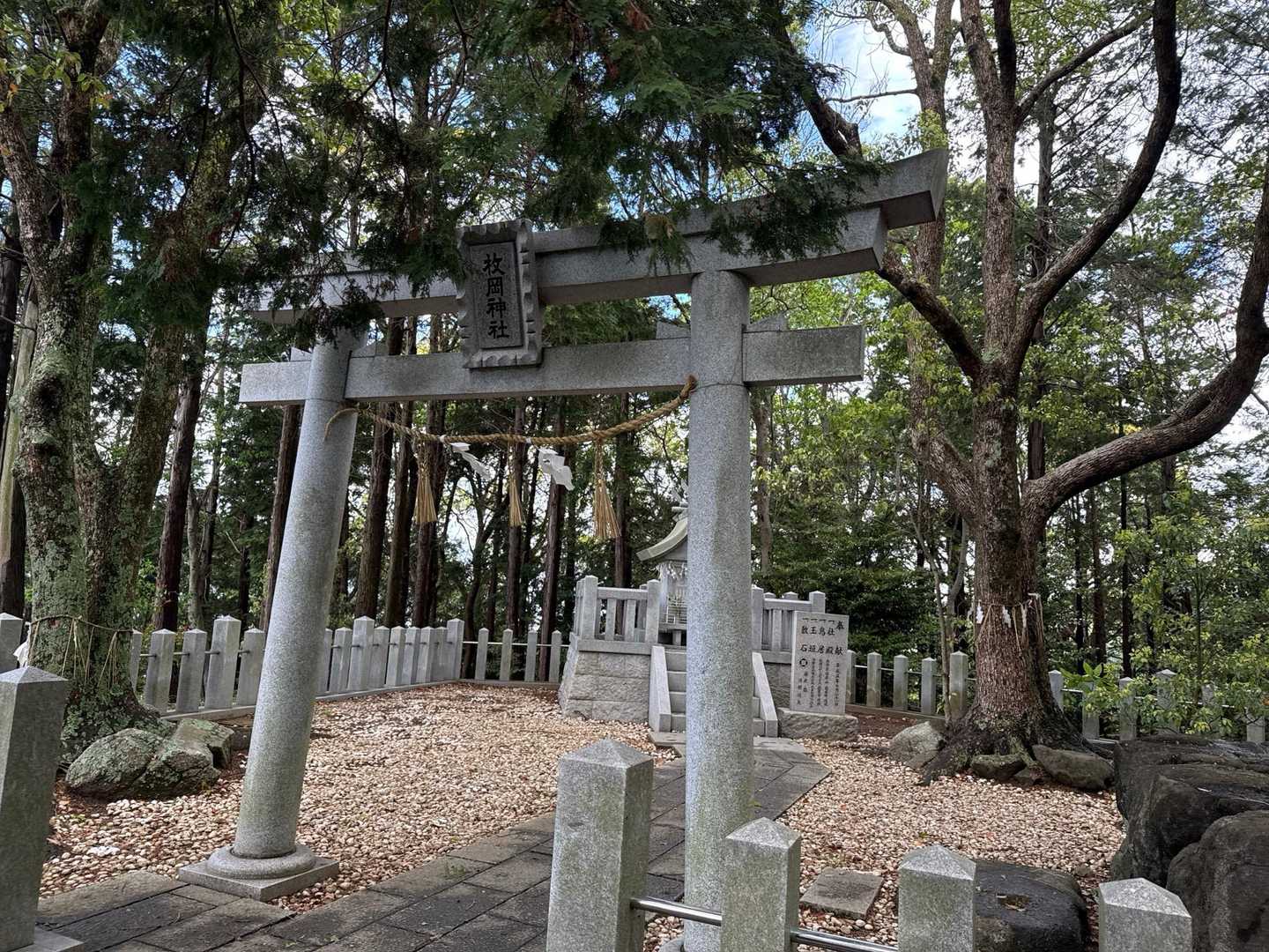 神社を通って
この奥に山のピークがあるみたい
いっこゲットだ
