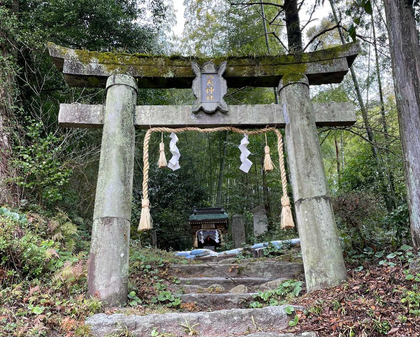いよいよ八天山登山口より登山開始❗️