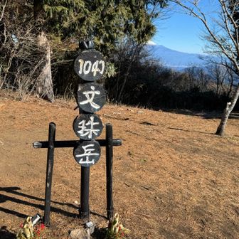 枝が無ければ富士山見えるけど、良しとします。
陽が当たって暖かいけど、息は白い。