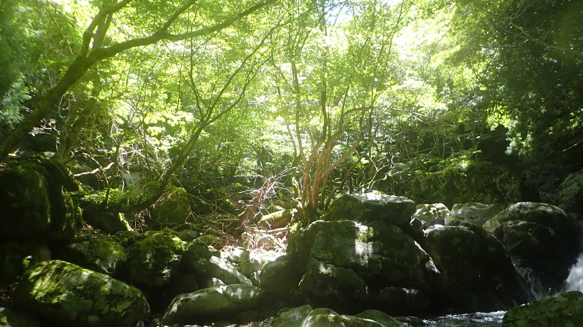 キレイだなって思った風景。
今回はのぶさん御本人ばかり撮ってて景色や滝を撮り忘れてます🤣