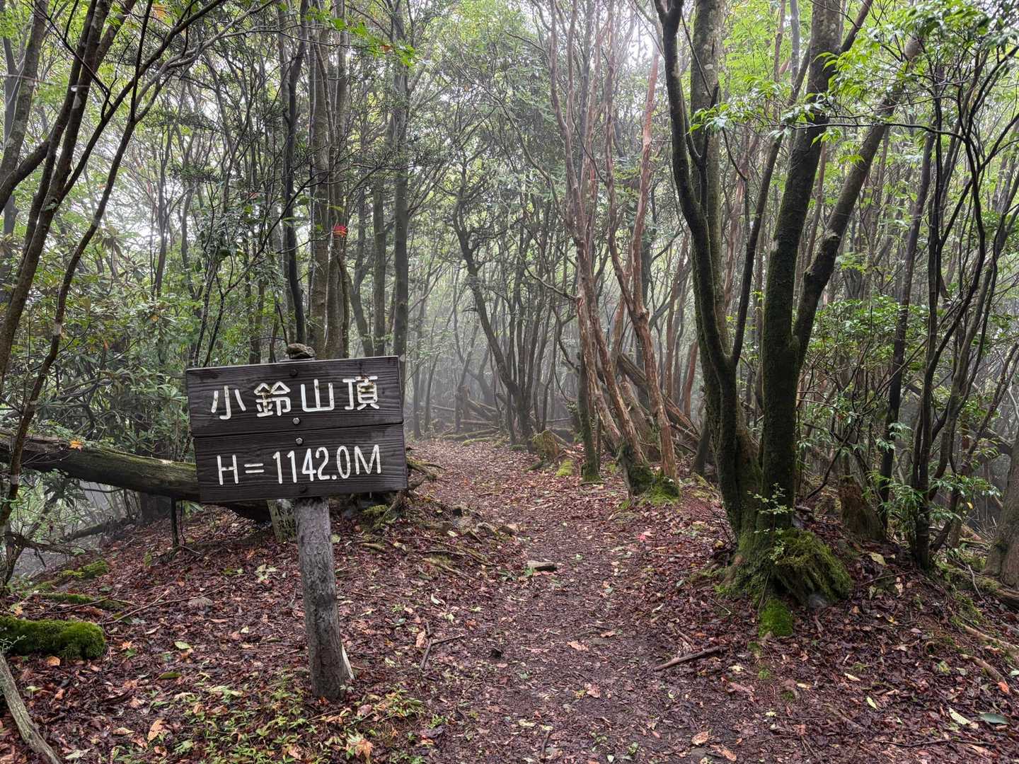 階段を上り切ったら…あっという間に小鈴山⛰️🛎️