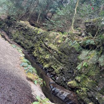 滝は枯れていました