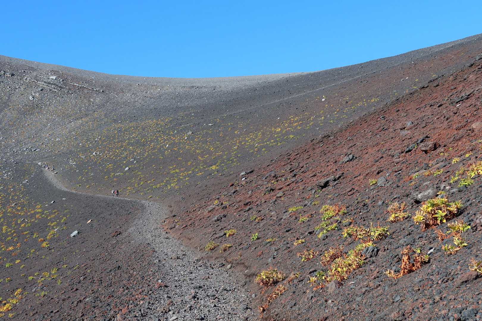 素晴らしい宝永山への登り道、今日はズルズル登りも楽しい！