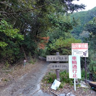 やっとロードからトレイル