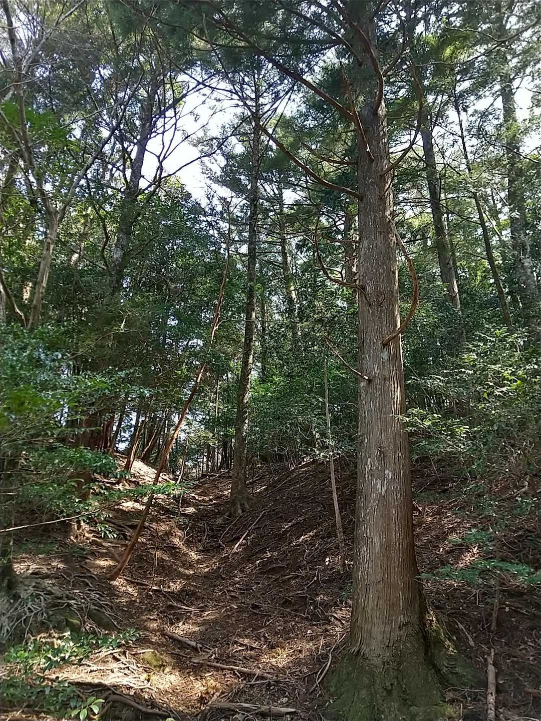 雰囲気あります
