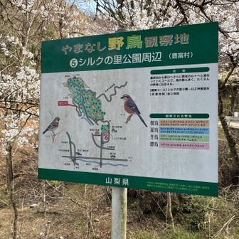 ﾌﾑ(( ˘ω ˘ *))ﾌﾑ