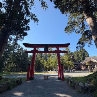 嫁様は降りの石段が恐怖とのこと

長男坊と嫁様はレストハウスでの食事や駐車場近辺のお土産屋さん巡りをしてもらい

ワタクシ単独で駐車場まで戻りクルマでピックアップすることに

山ではパーティからの各々の行動はやらない（やれない）けど駐車場の立地と登山ではなく参拝という観点から単独となる