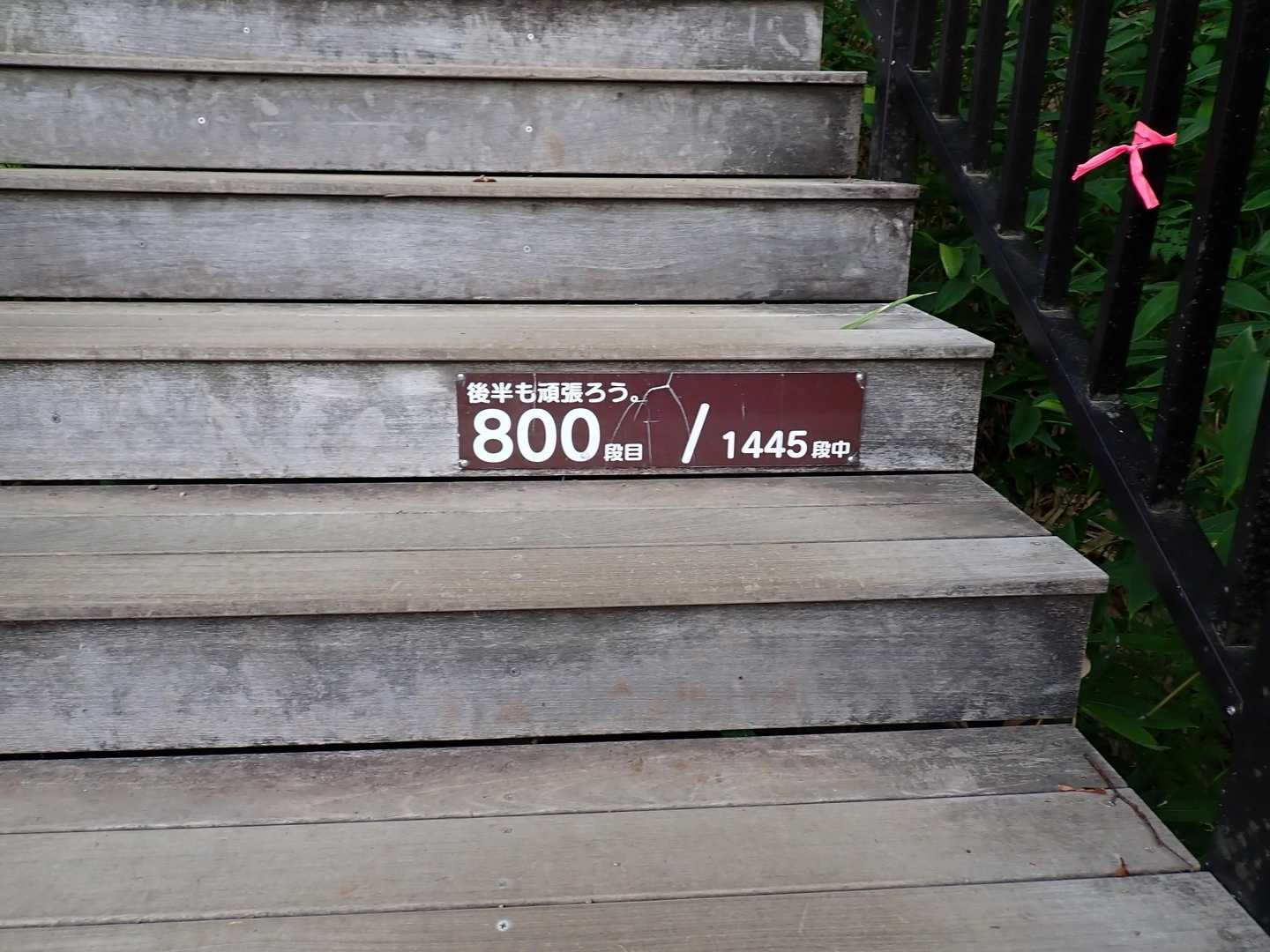 800段…よろよろ、もう少し