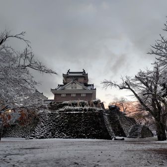 «٩(*´ ꒳ `*)۶»ﾜｸﾜｸ